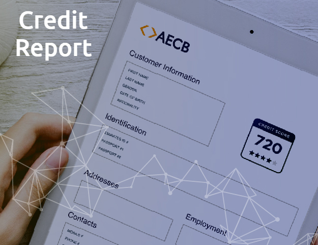 ways-to-ace-your-credit-report-in-uae-credit-blog-moneymall