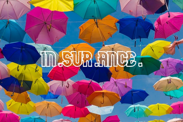 an-insurance-dictionary-for-beginners-credit-blog-moneymall